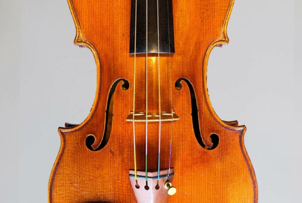 Sgarabotto maple violins copy 1